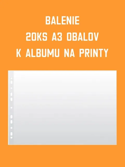Covers for the Album for Prints (20 pieces)