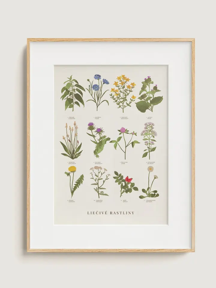 Medicinal plants / Slovakia