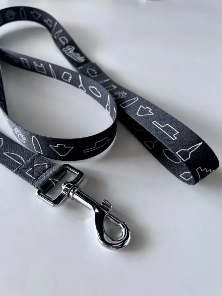 Dog Leash Bratiska / Bratislava/ Slovakia